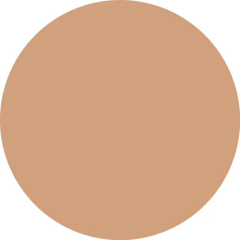 Essence Silky Cushion Foundation, podkladový krém, 170, 12 g