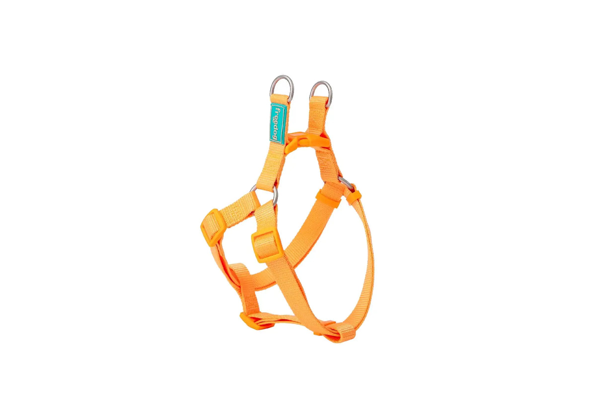 Freedog Nylonový postroj Basic typ A čierny, 10 mm, 20/36 cm
