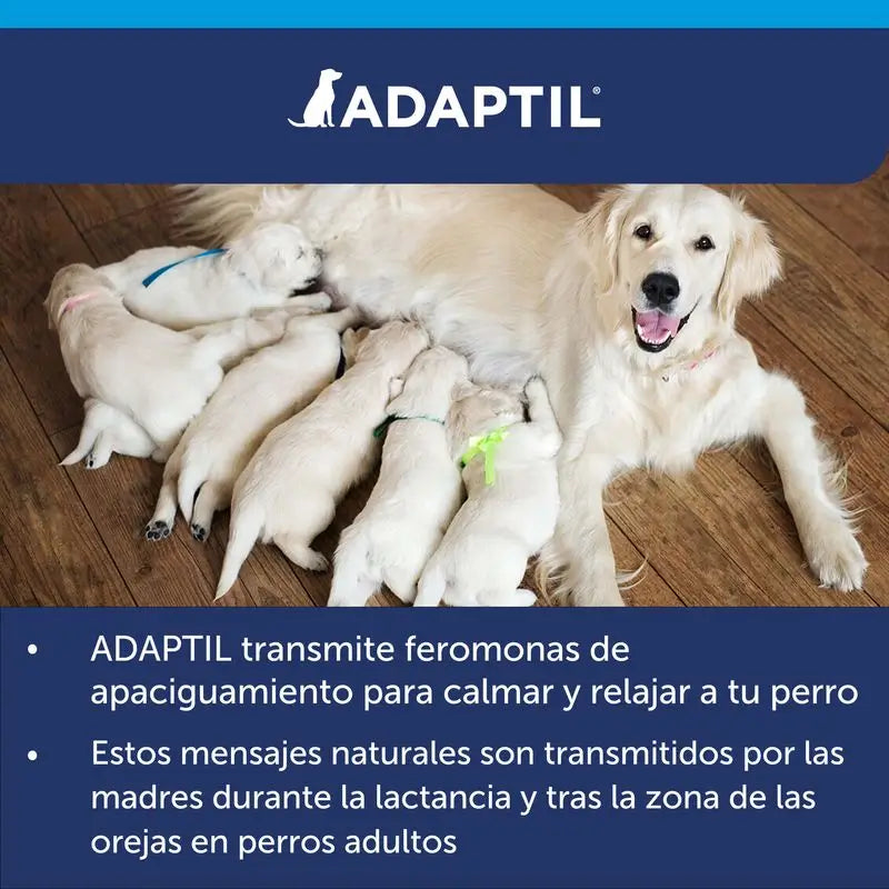 Obojok Ceva Adaptil 45 cm s feromónmi proti stresu