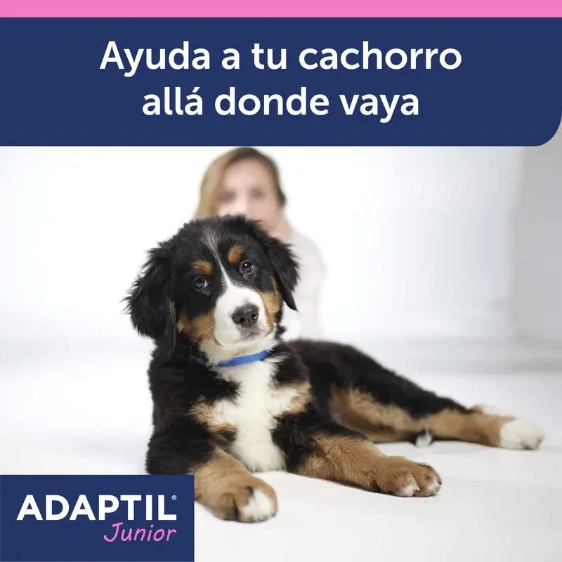 Obojok Ceva Adaptil Junior