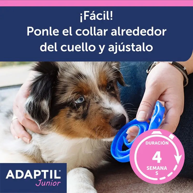 Obojok Ceva Adaptil Junior