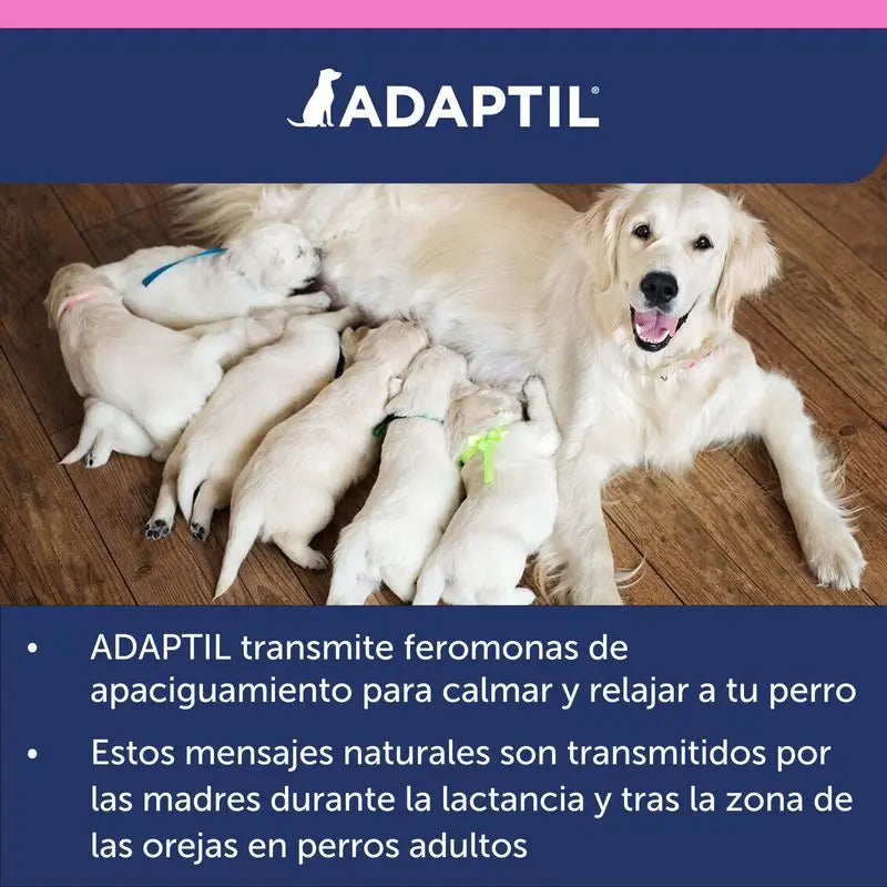 Obojok Ceva Adaptil Junior