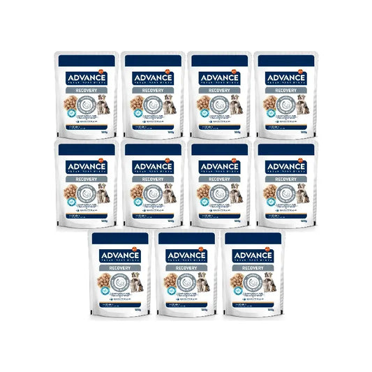 Advance – mokré krmivo pre domáce zvieratá, v balení po jednej porcii, 11 x 100 g