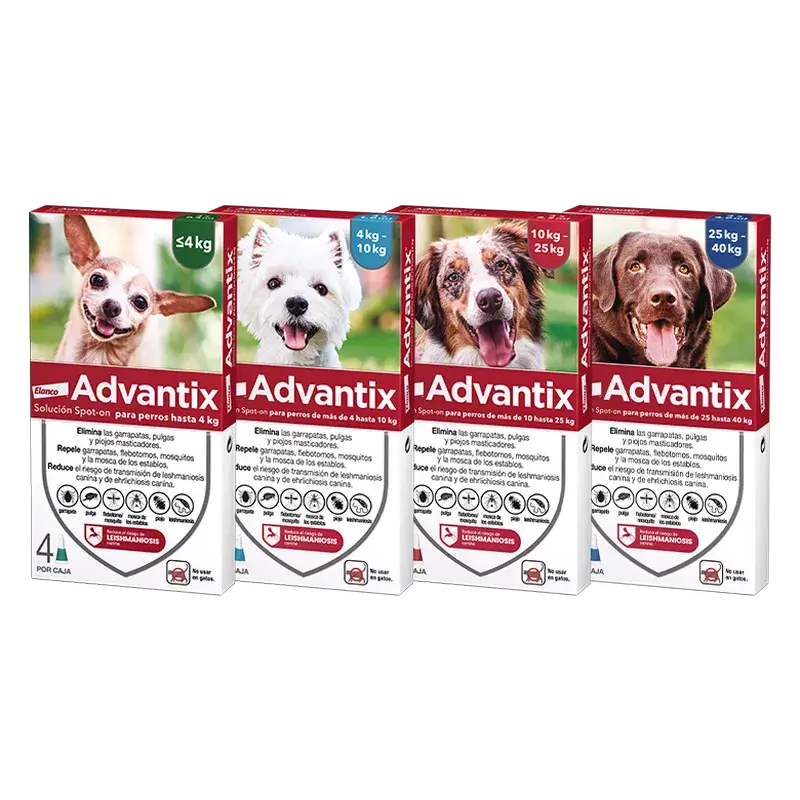 Advantix 24 pipiet 1,0 ml 4–10 kg