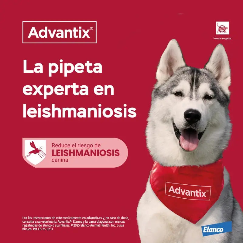 Advantix 24 pipiet 1,0 ml 4–10 kg