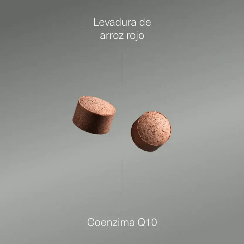 Aldous Bio Červené ryžové droždie s koenzýmom Q10 Aldous, 400 tabliet