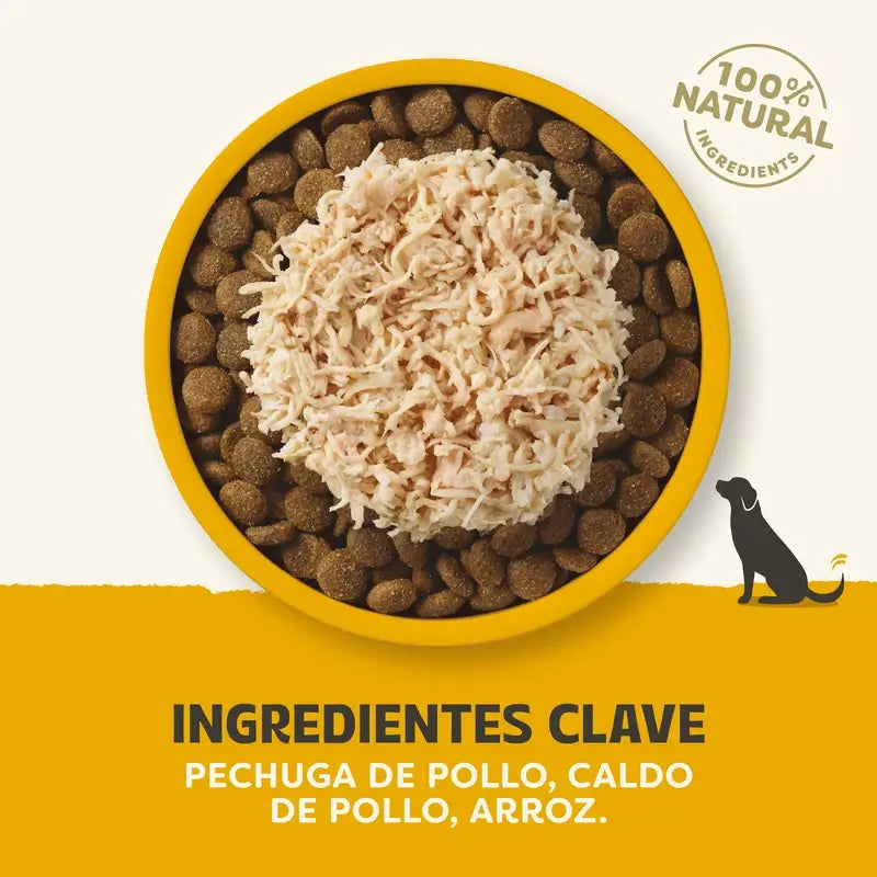 Applaws Dog – doplnok k jedlu v konzervách – kuracie mäso vo vývare, 12 × 156 g