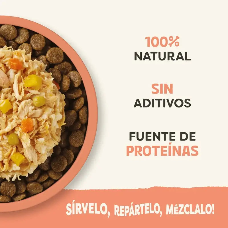 Applaws Dog – konzerva s prísadami: kuracie mäso, losos, zelenina, vývar, 12 × 156 g