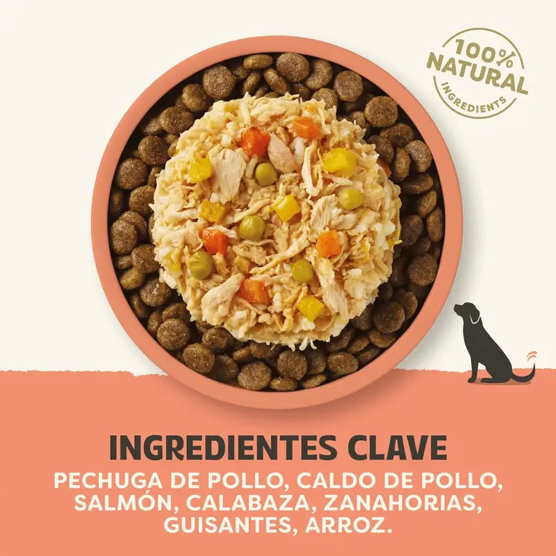 Applaws Dog – konzerva s prísadami: kuracie mäso, losos, zelenina, vývar, 12 × 156 g