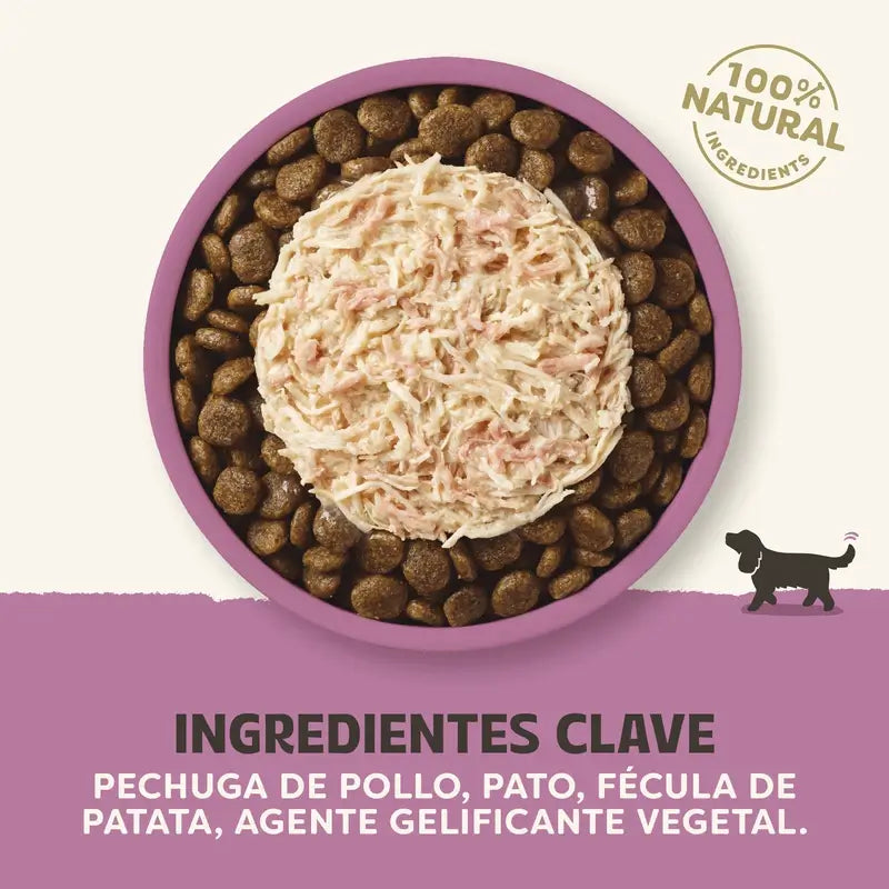 Applaws Dog – konzerva Topper s kuracím mäsom a kačacou omáčkou, 12 × 156 g