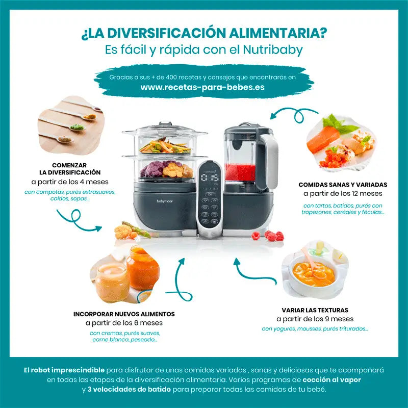 Babymoov Kuchynský robot, mixér a parný hrniec Nutribaby (+) v priemyselnej šedej farbe