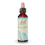 Bach Rock Water 20 ml