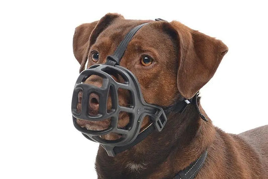 Plastic Buster Muzzle Size 4