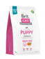 Brit Care Dog Gf Junior R-Gde Losos 3 kg