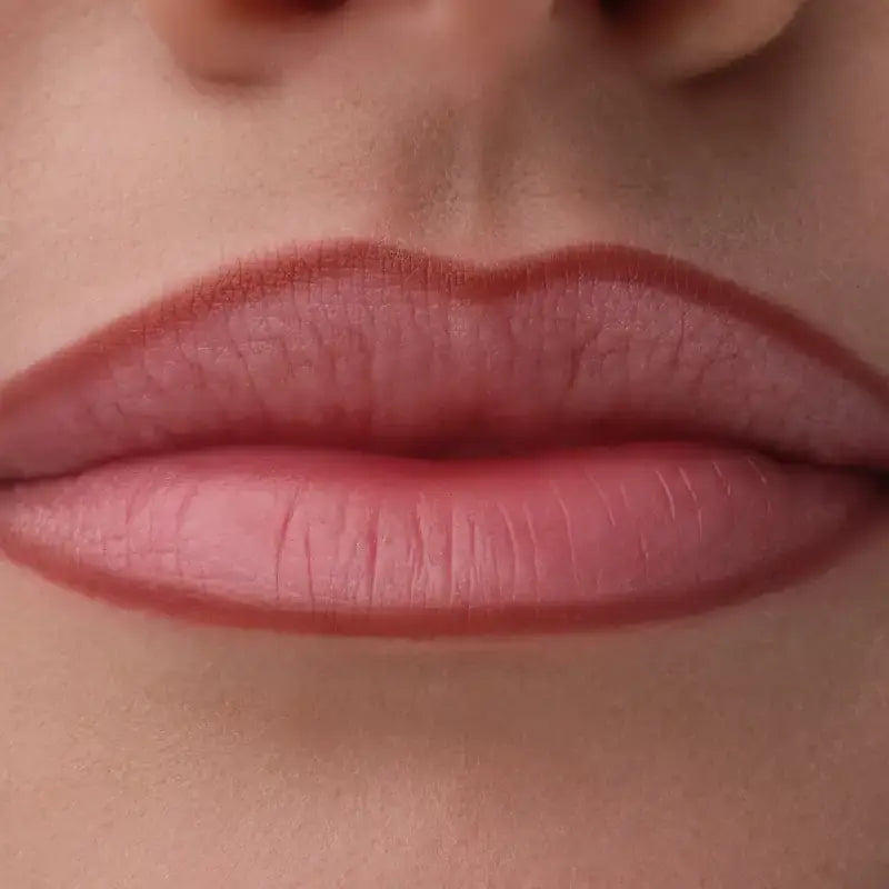 Catrice Kontúrovacia ceruzka na pery Precision Ink 060, 1 ml