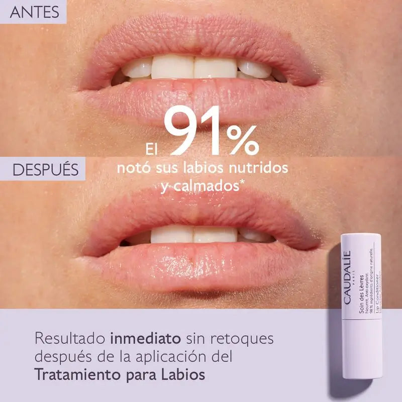 Caudalie – starostlivosť o pery, 4,5 g