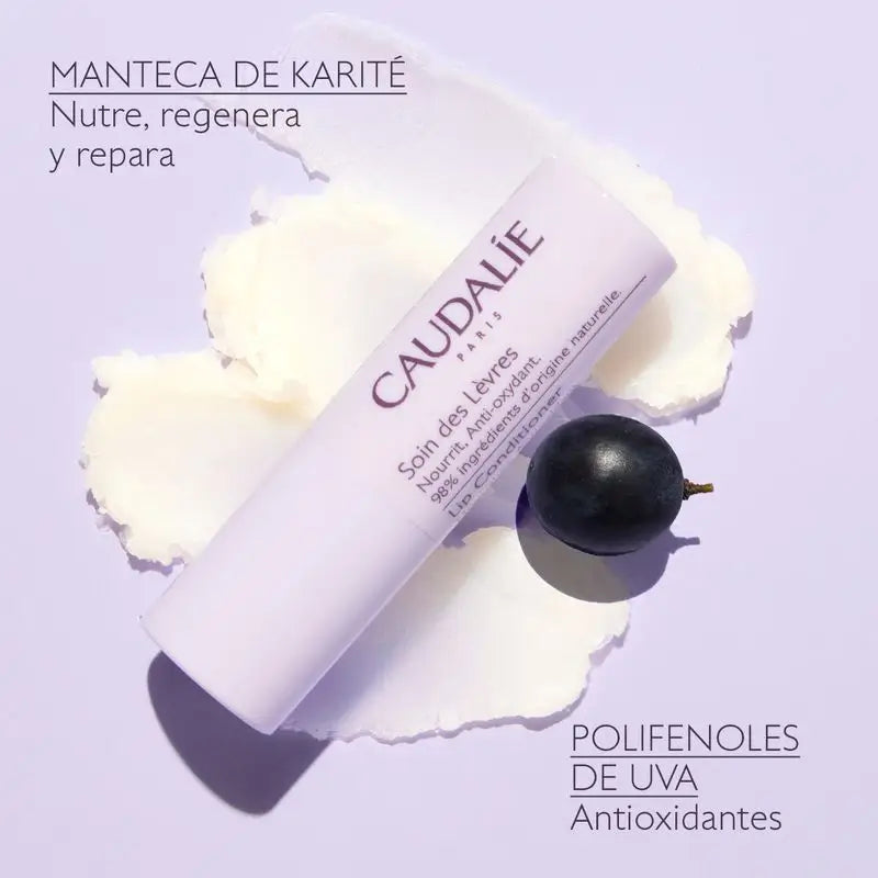 Caudalie – starostlivosť o pery, 4,5 g
