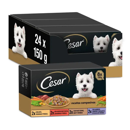 Cesar Campesina Multipack – kelímky, balenie 3 × 8 × 150 g