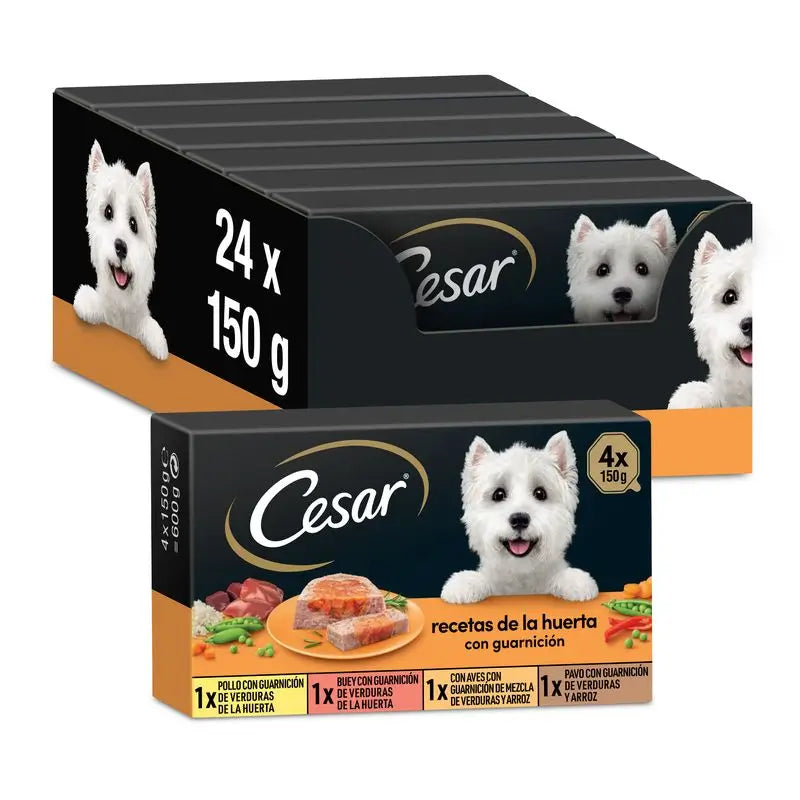 Cesar Multipack Výber zo záhrady, balenie 6 × 4 × 150 g