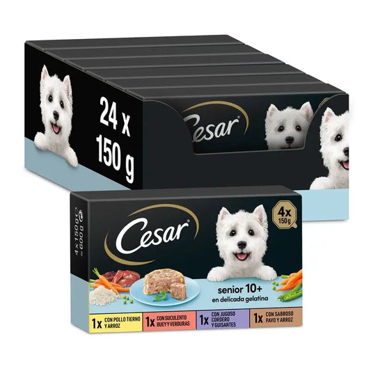 Cesar Multipack Senior, balenie 6 × 4 × 150 g