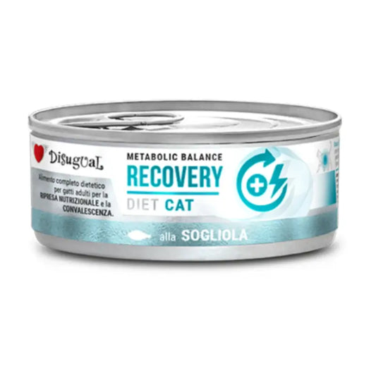 Disugual Diet Cat Recovery – platýsa, 12x85 