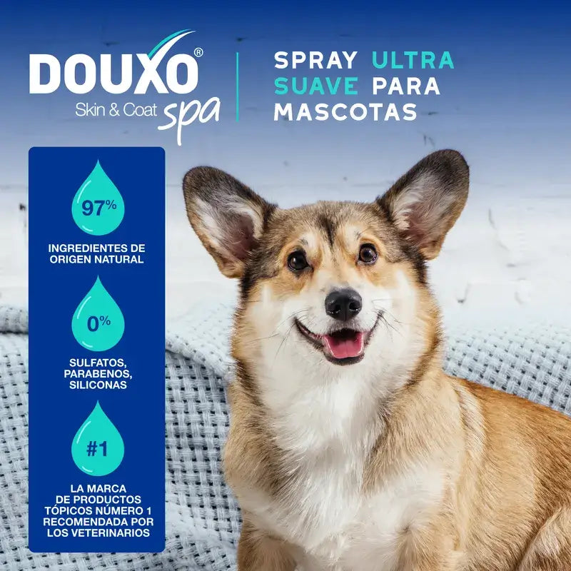 Douxo Skin & Coat Spa – viacúčelový sprej proti zápachu pre psov, 340 ml