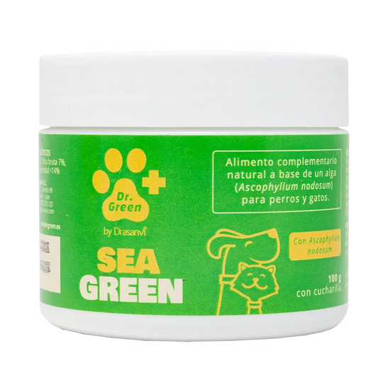 Drasanvi Drgreen Seagreen , 100 g