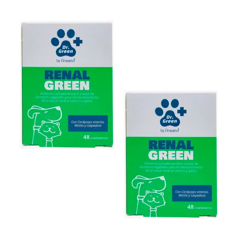 Drgreen Drasanvi Renalgreen , 2X48 Tablets