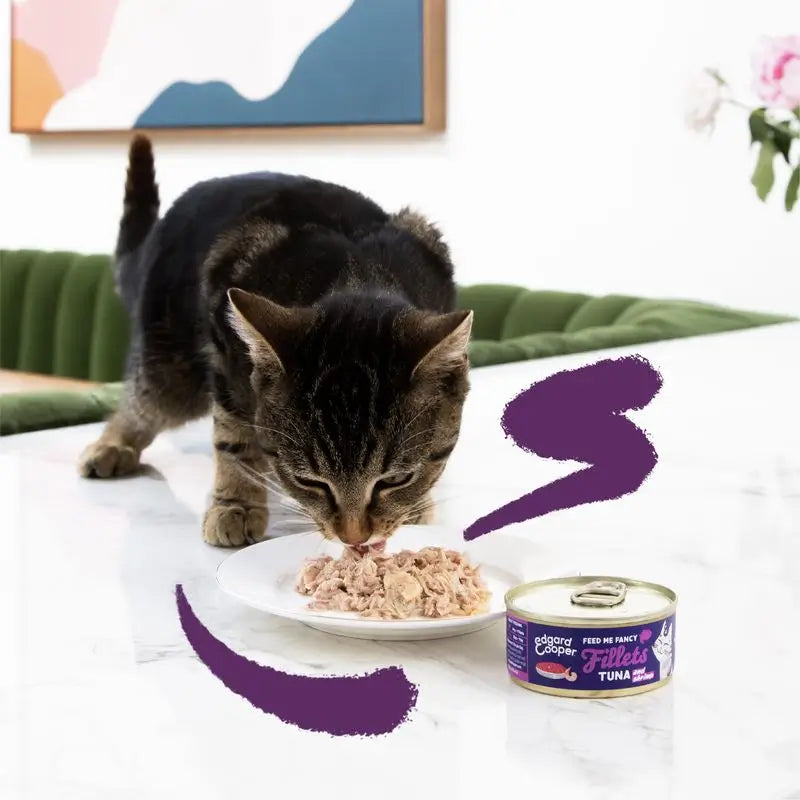 Edgard & Cooper Mokré krmivo pre mačky 24x70 g – filé z tuniaka a kreviet, bez obilnín