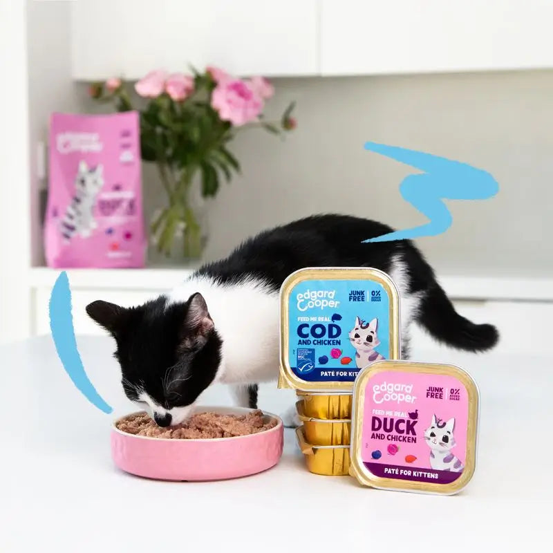 Edgard & Cooper Mokré krmivo pre mačky Kitten 16x85 g kuracie mäso z voľného chovu