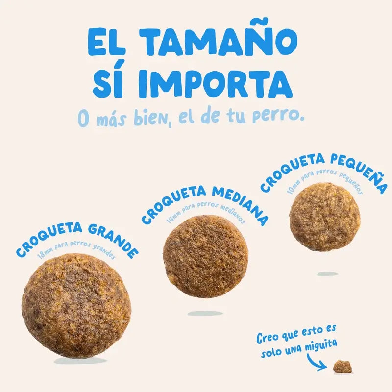 Edgard & Cooper Krmivo pre dospelých psov strednej veľkosti s čerstvým lososom, 2,5 kg