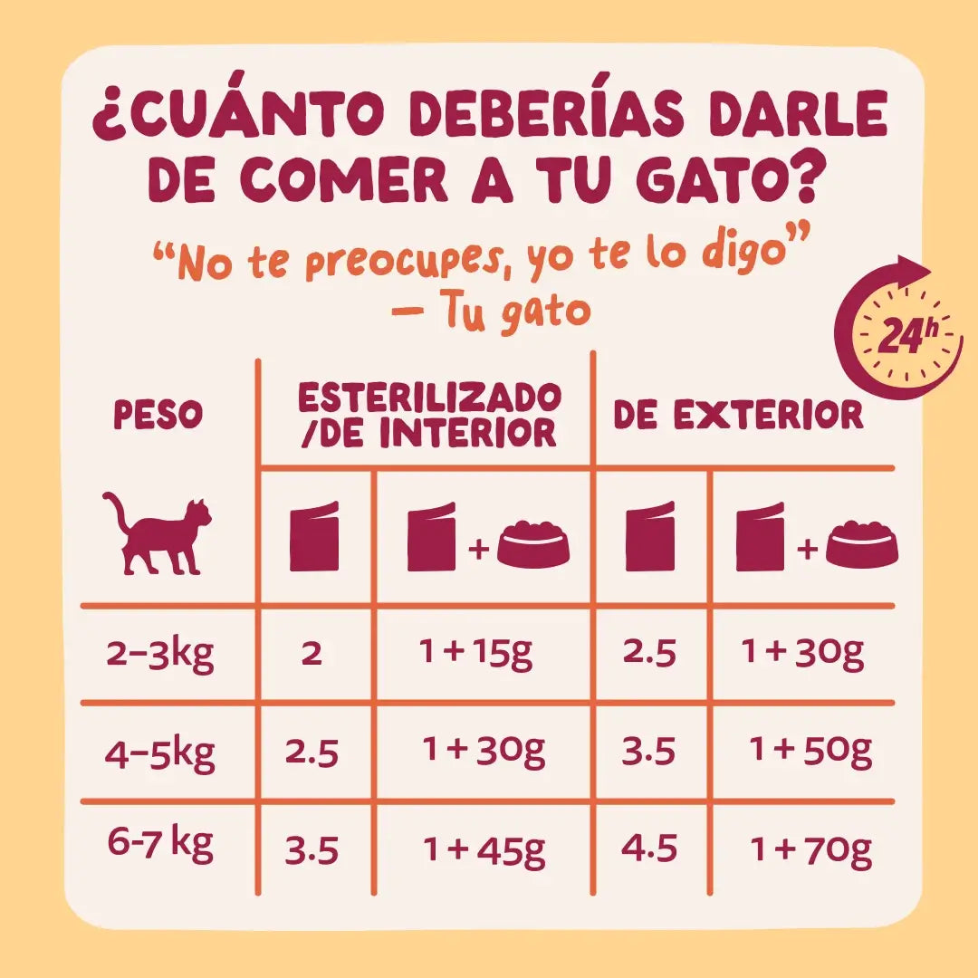 Edgard & Cooper Festines De La Granja v omáčke pre dospelých – multipack, 12 x 85 g