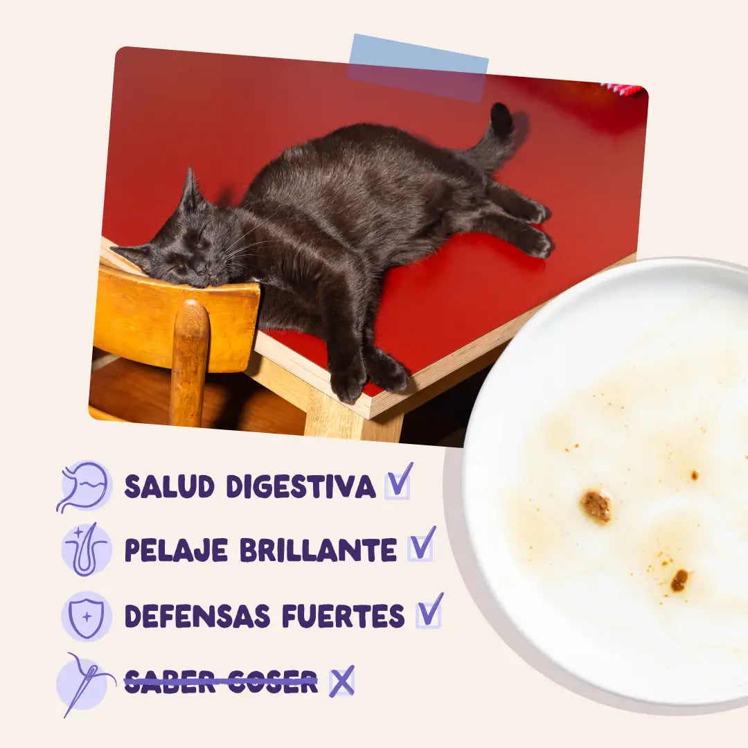 Edgard & Cooper Kačica a morka v omáčke pre dospelých, 12x85 g
