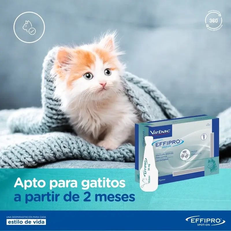 Effipro 50 mg Spot-On pre mačky, 4 pipety