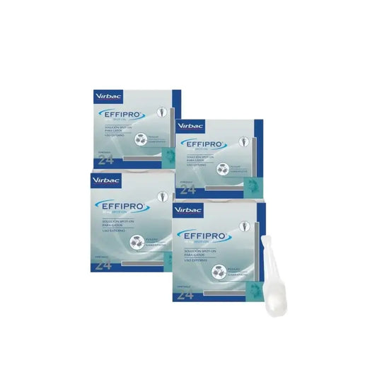 Effipro 50 mg Spot-On pre mačky, balenie po 2 ks