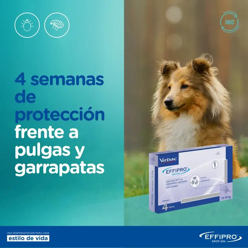 Effipro 67 mg Spot-On pre malé psy 2–10 kg, 24 pipiet