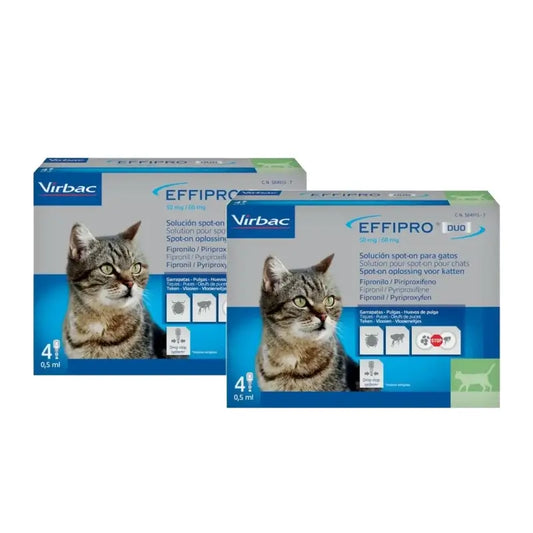 Effipro Duo Spot-On pre mačky, balenie po 2 ks