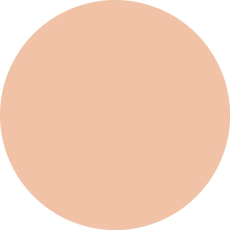 Essence Silky Cushion Foundation, podkladový krém, 110, 12 g
