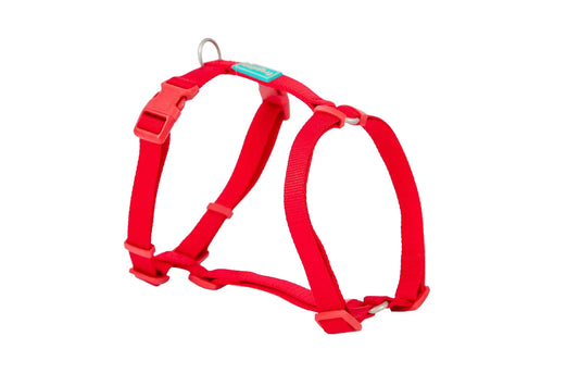 Freedog Nylonový postroj Basic červený, 20 mm, 51/70 cm