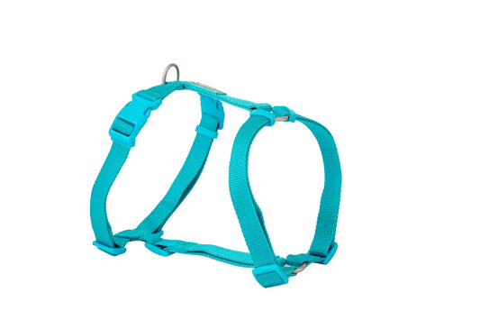 Postroj Freedog Nylon Basic tyrkysový, 20 mm, 51/70 cm