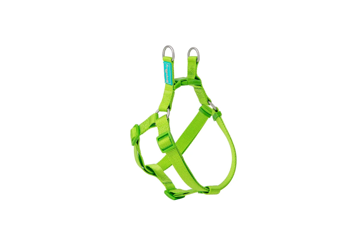 Postroj Freedog z nylonu, typ A, limetkovozelený, 10 mm, 20/36 cm