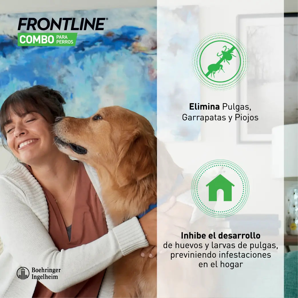 Frontline Spot Combo 10–20 kg, 6 pipiet