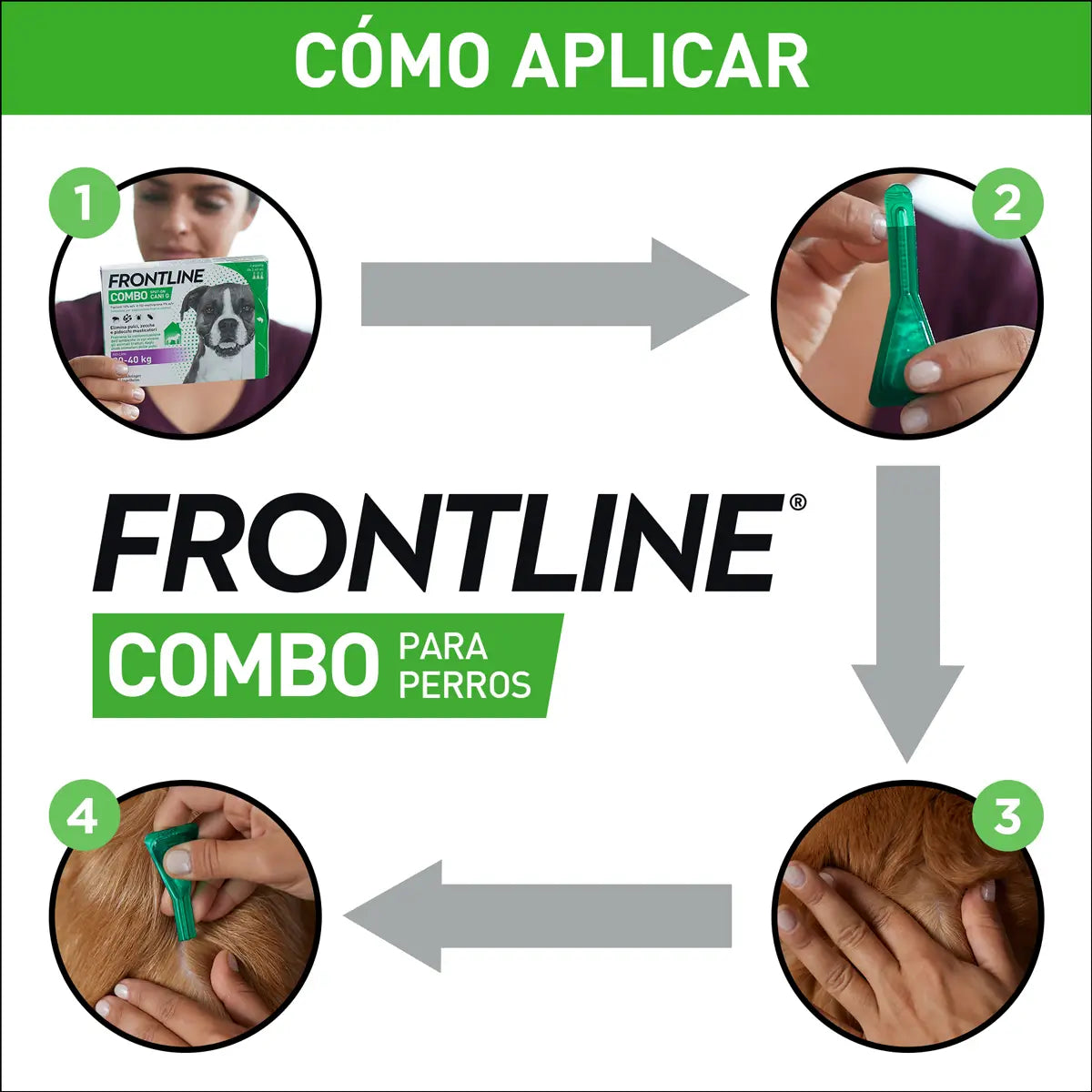 Frontline Spot Combo 20–40 kg, 6 pipiet