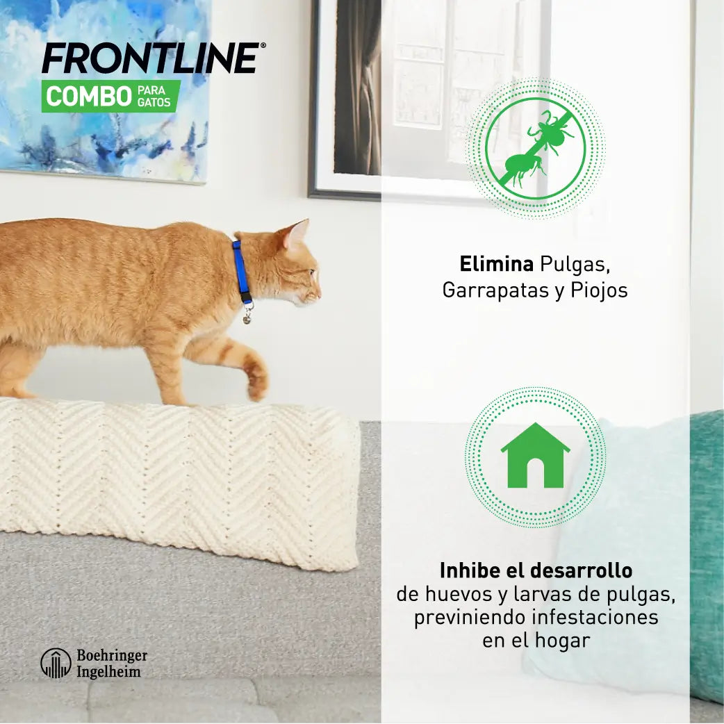 Frontline Combo pre mačky a fretky – Spot On, 6 pipiet po 0,5 ml