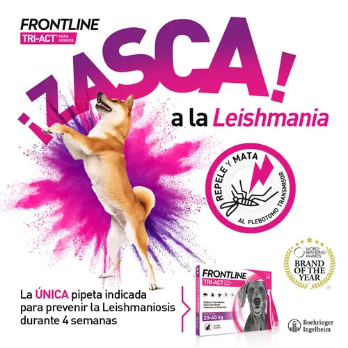 Frontline Tri-Act 5–10 kg 6 pip S