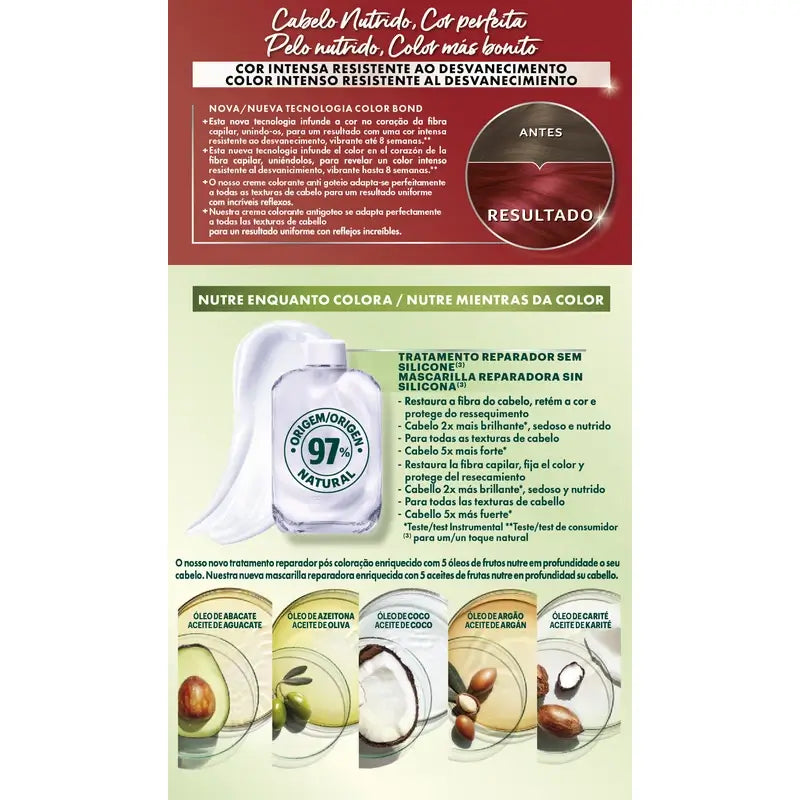 Garnier Nutrisse Ultra Color 6.60 Rouge, 160 ml