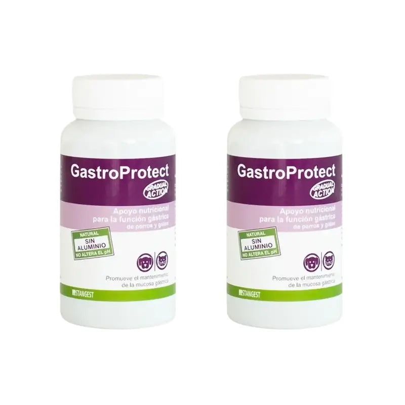 Gastroprotect Stangest, 2 × 30 tabliet
