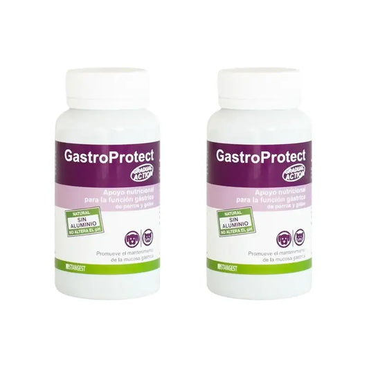 Gastroprotect Stangest, 2 × 30 tabliet