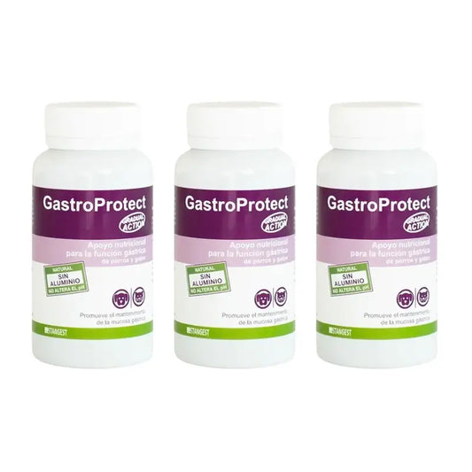 Gastroprotect Stangest, 3 × 30 tabliet