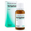 Heel Vertigoheel kvapky 30 ml